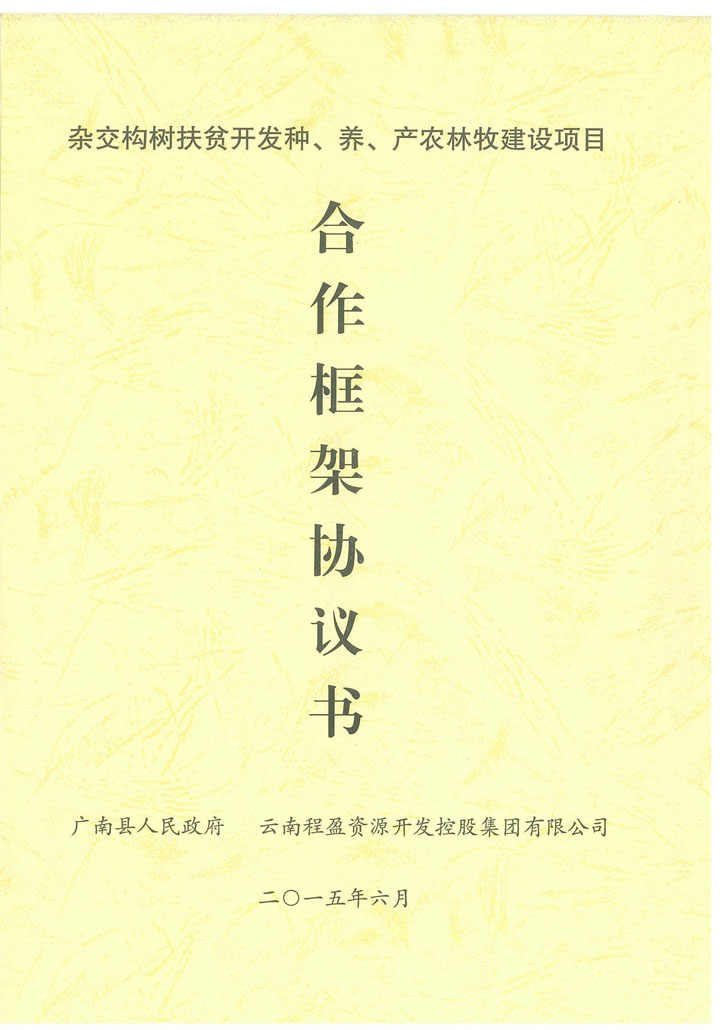 ppp合作步骤_ppp合作协议标准范本_ppp合作框架协议范本